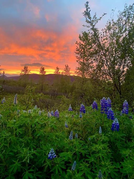Luxury Cottage Located In The Golden Circle, Mountain View! Laugarvatn Exterior foto